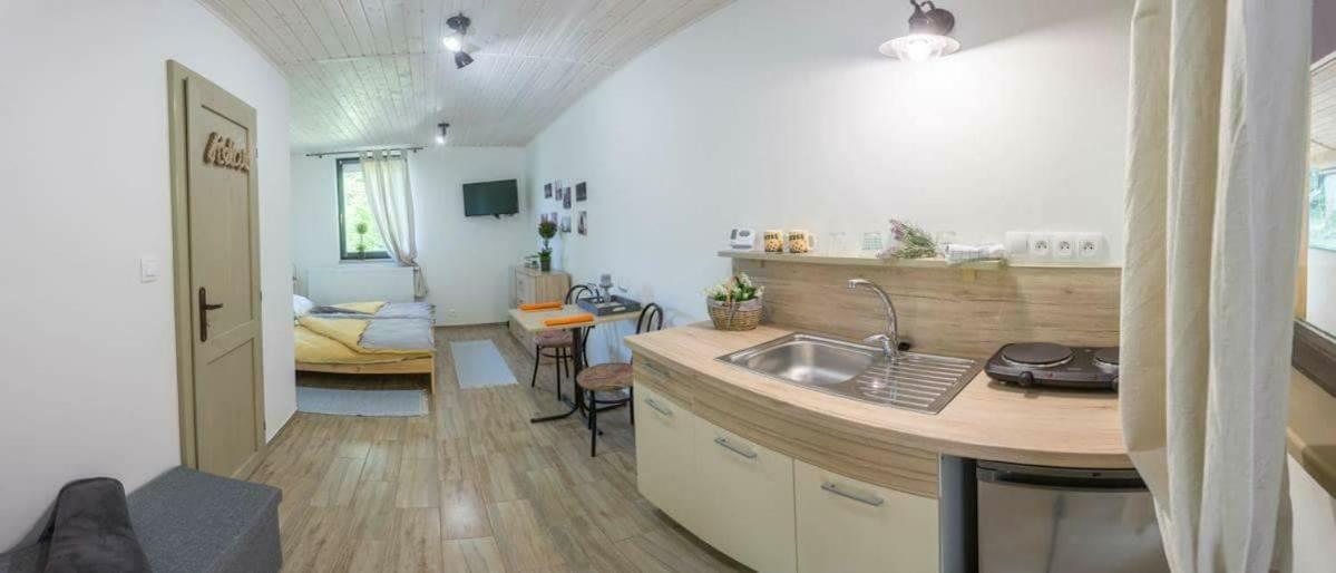 Pod Horou Apartment Stiavnicke Bane Bagian luar foto